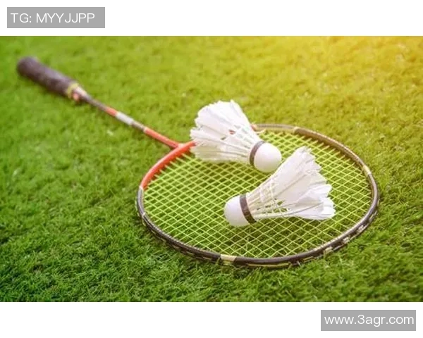 西安羽毛球队技术解析与训练策略探讨助力羽毛球发展 西安羽毛球队技术解析与训练策略探讨助力羽毛球发展