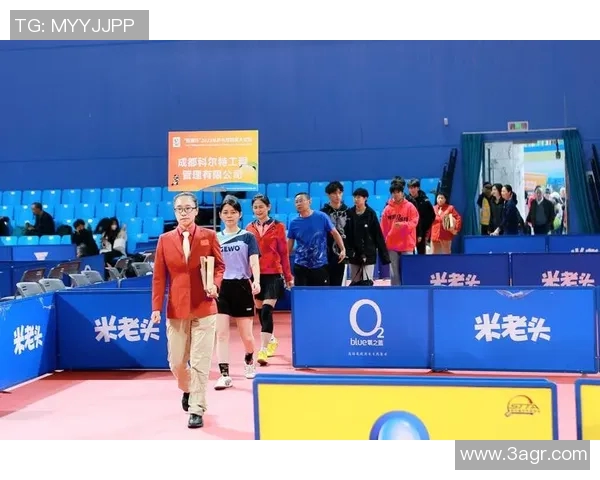 运动数据乒乓球的魅力与精神深入了解成都乒乓球队的训练与理念 运动数据乒乓球的魅力与精神深入了解成都乒乓球队的训练与理念