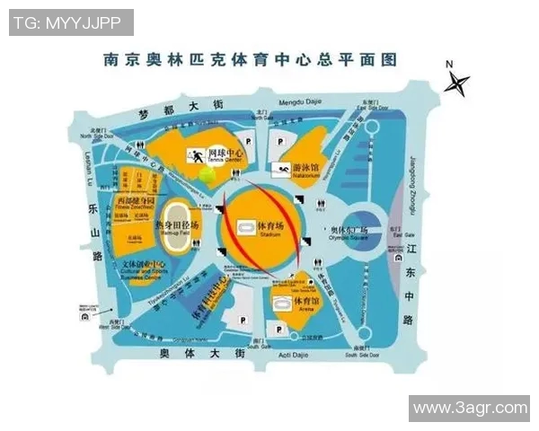 实时新闻南京网球队反击战术解析与未来发展展望